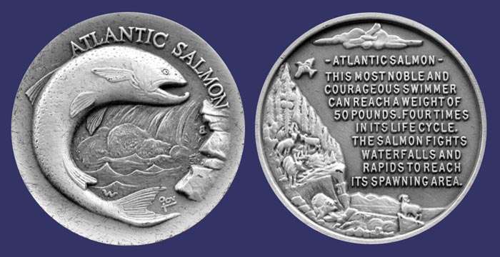 Wildlife Series:  Atlantic Salmon
