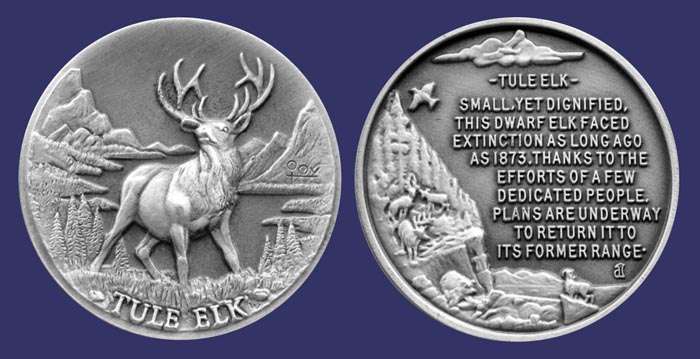 Wildlife Series:  Tule Elk

