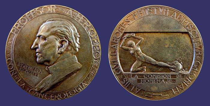 Navarro, Oliva, Professor A. H. Roffo, Cancer Researcher, 1935, $60
[b]Photo by John Birks[/b]

Bronze, 61.3 mm, 75 g
Keywords: sold