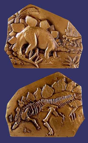 SOM#128, Don Everhart, The Fossil Collection, Stegosaurus, 1994
[b]From the collection of John Birks[/b]

[i]Number issued:  200 Bronze[/i]

[b]STEGOSAURUS
STEG - o - sawr - us
Late Jurassic, North America[/b]

Among the most popular of the dinosaurs, Stegosaurus' image is firmly implanted in any child who ever contemplated dinosaurs in his or her youth.  The most distinguishing feature of Stegosaurus is the double row of large triangularly-shaped plates down the back, ending with two pairs of long spikes on the tail.  The purpose of these plates has been debated for years.  Stegosaurus' unusually small head and braincase led many early paleontologists to assume that the dinosaurs were all lumbering and stupid creatures.  This theory was later laid to rest with the discovery of some of the smaller carnivorous thecodonts such as Deinonychus, which had a much larger brain.  In Stegosaurus' case, an enlargement of the spinal cord between the hips led many early scientists to surmise that this creature had, in fact, two brains!  However, this enlargement was more likely a relay station for messages to and from the brain.

Keywords: sold