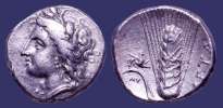 Greece,_Lucania,_Metapontum,_330-280_BC.jpg