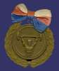 Zizkov,_Bivoj,_Cechoslovakian_Sports_Medal,_Bronze,_50_mm,_1940.jpg